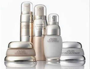 華派國際物流 您的專業(yè)美國化妝品進出口一站式服務伙伴